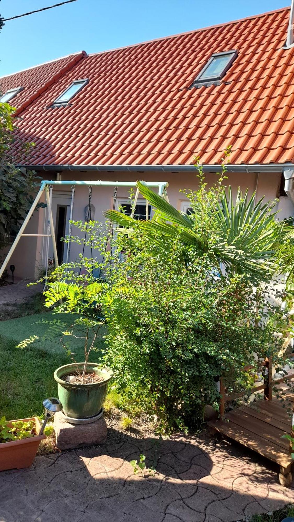 הוילה Dessenheim Olympe מראה חיצוני תמונה